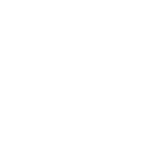 case davita