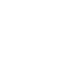 case pamcary